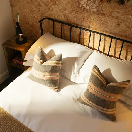 The Cosy Fox *